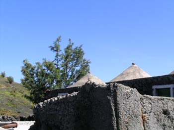DSCN2168