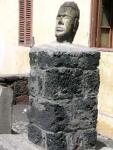 DSCN2194