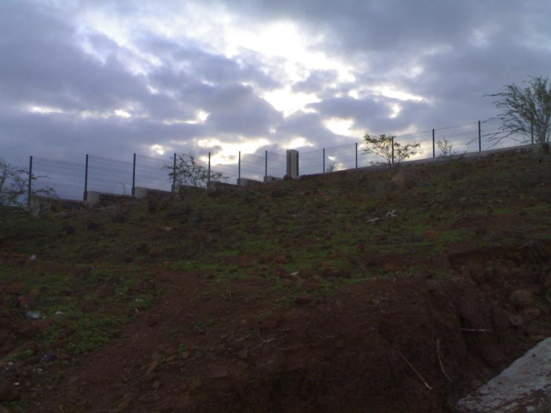 30082009255