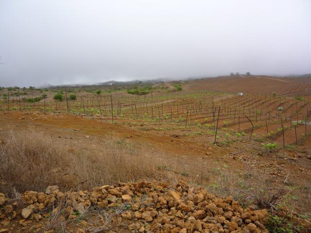 P1000176