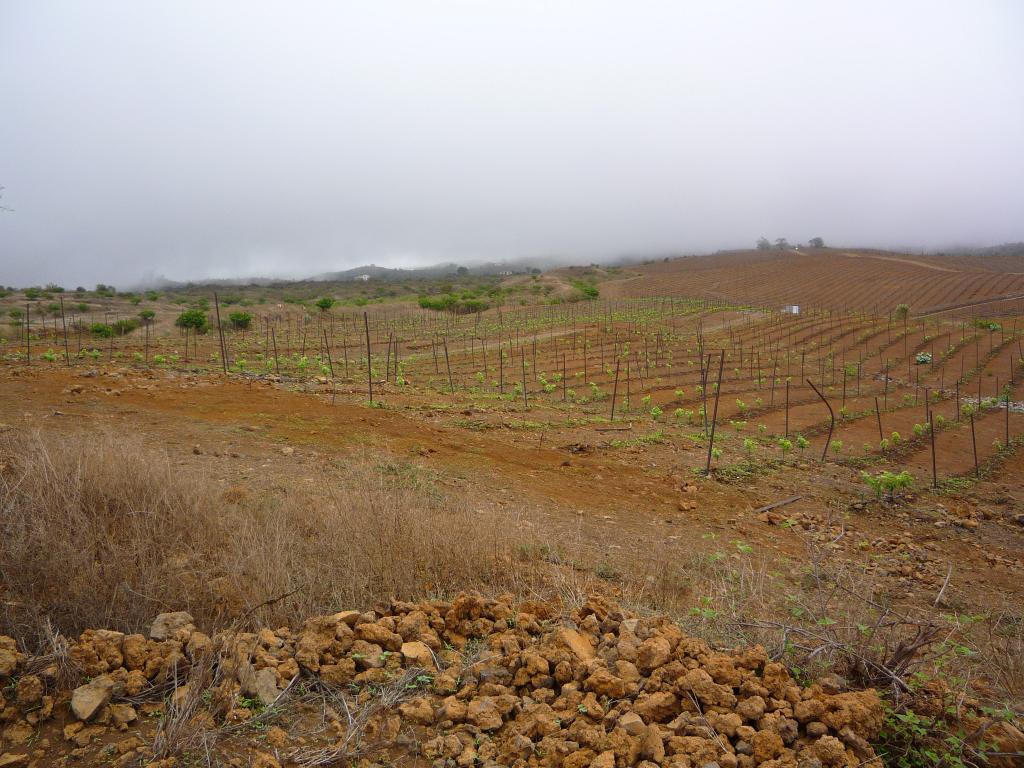 P1000176