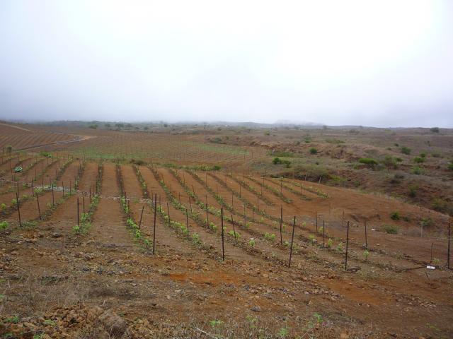 P1000177