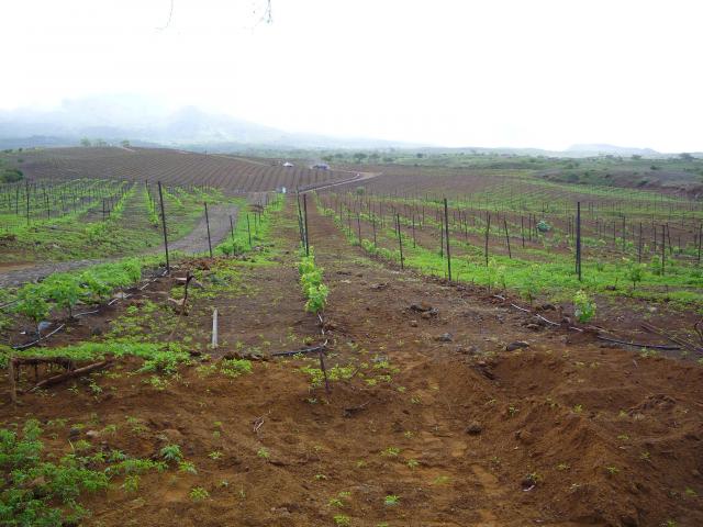 P1000192