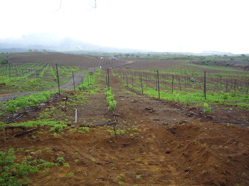 P1000192