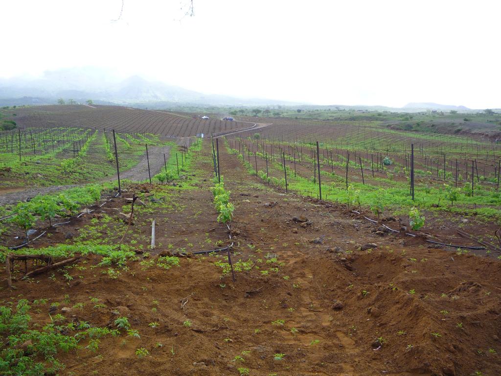 P1000192