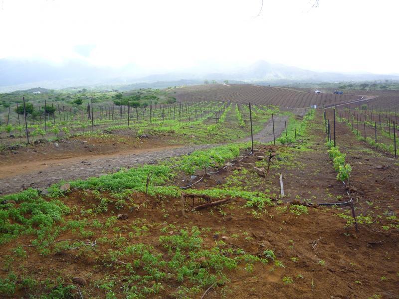 P1000193