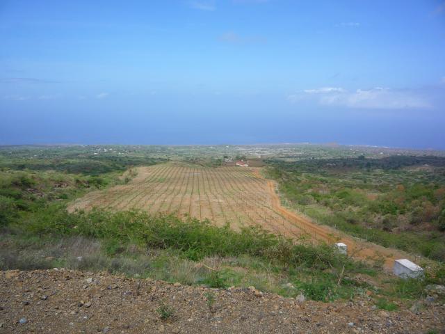 P1000196