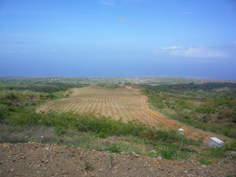 P1000196