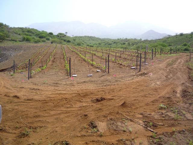 P1000216