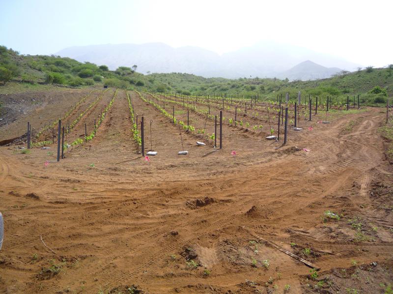 P1000216