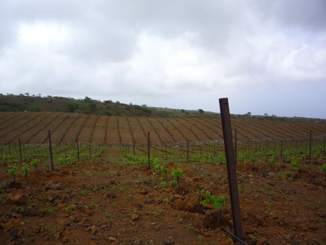 P1000218