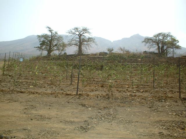 DSCF0013