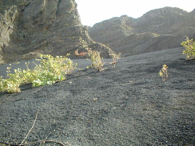 DSCF0042