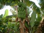 DSCF0045