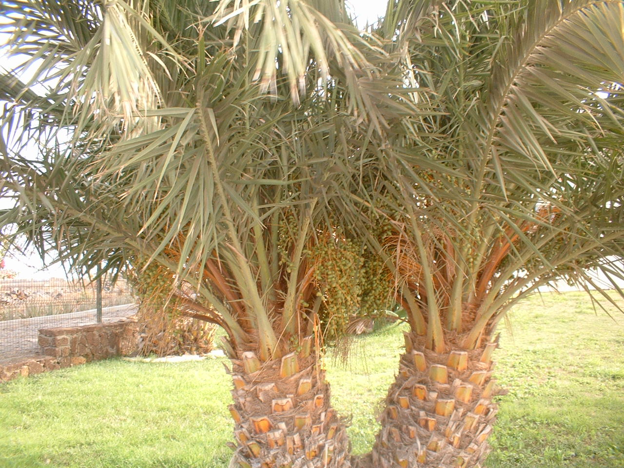 DSCF0048