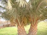 DSCF0048