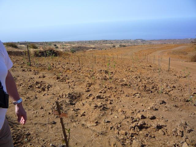 P1000031