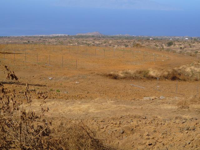 P1000032