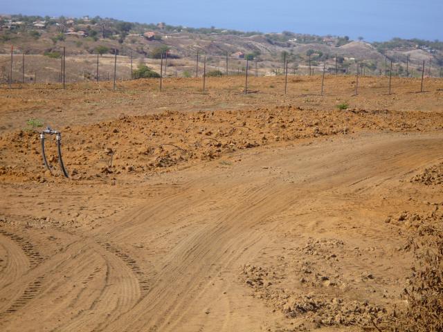 P1000033