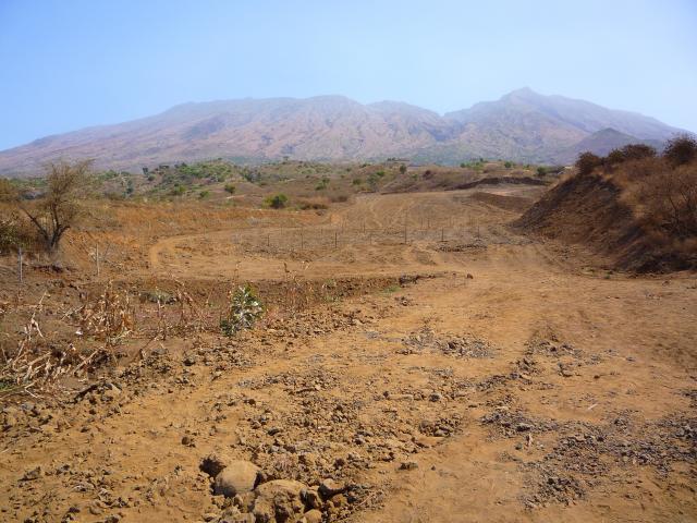 P1000047
