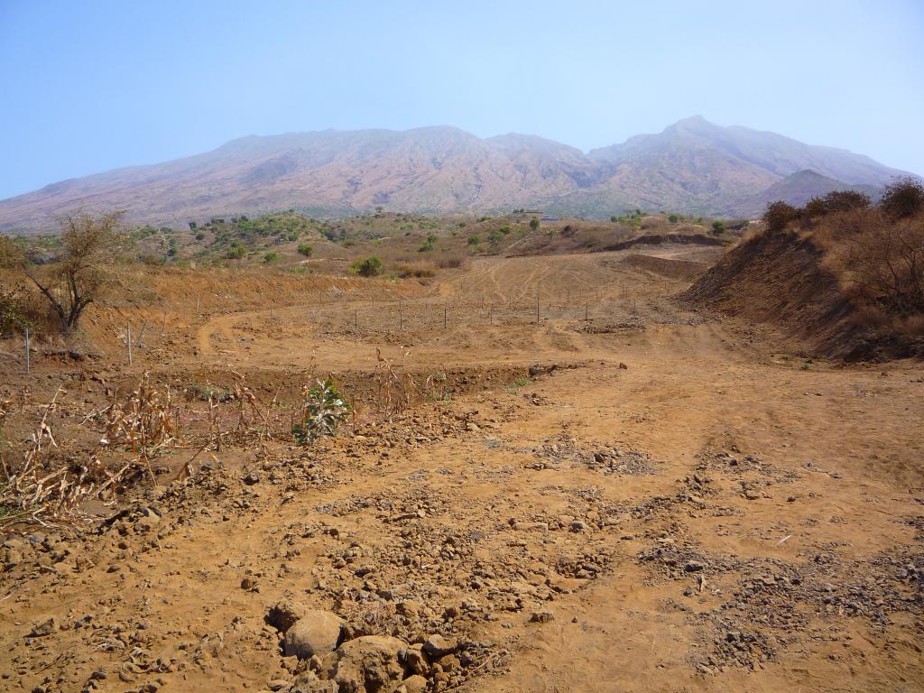 P1000047