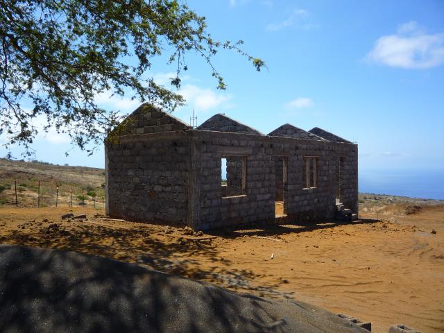 P1000085