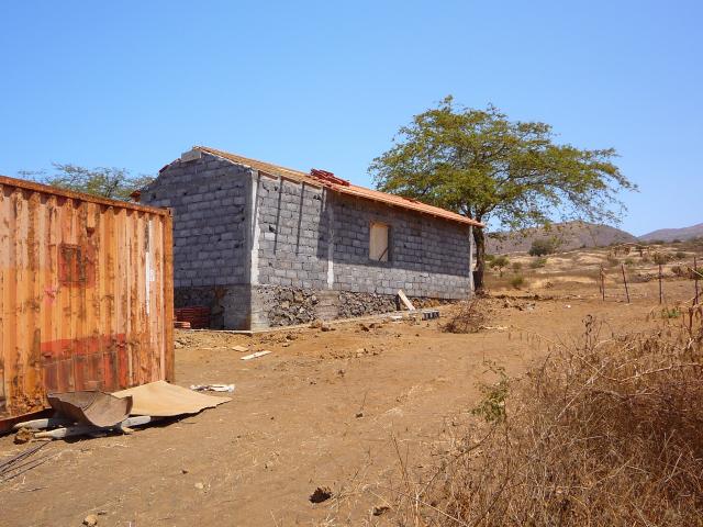 P1000106