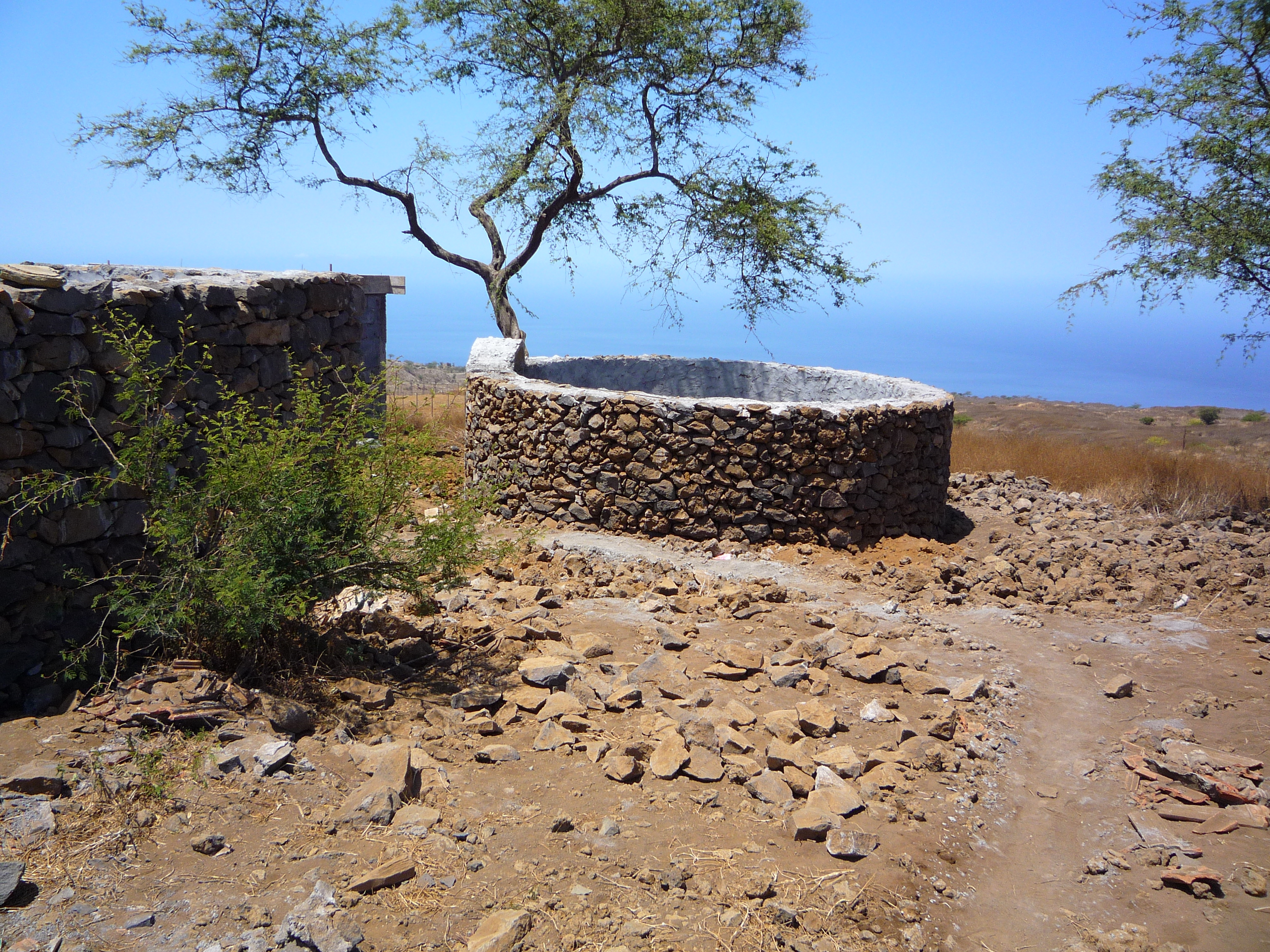 P1000113