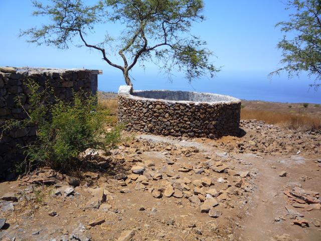 P1000113