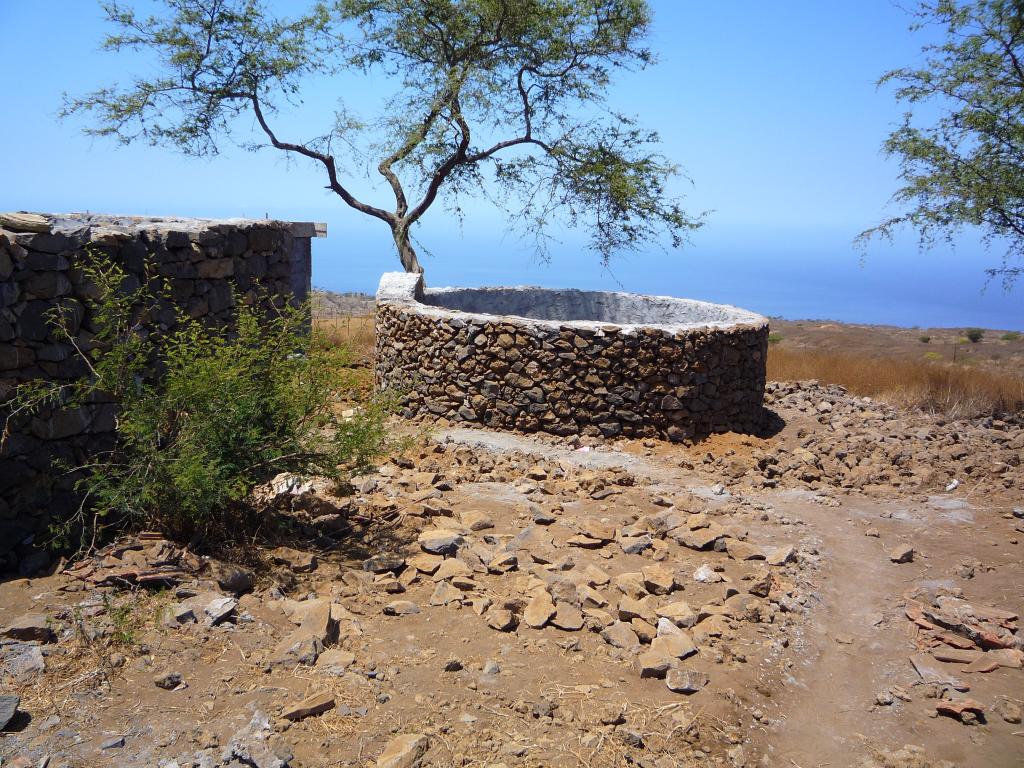 P1000113