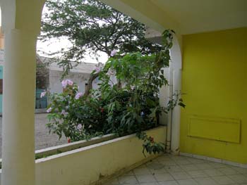 DSCN1515