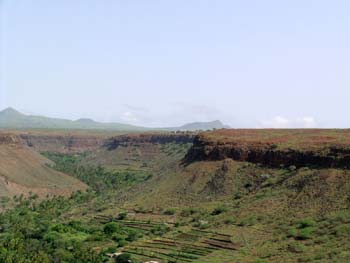 DSCN1526