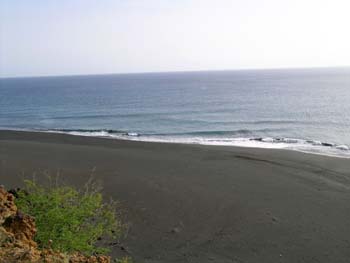 DSCN1595