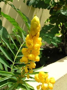 DSCN1802