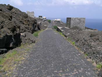 DSCN1930