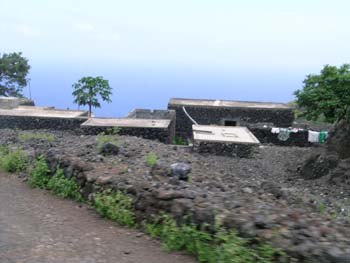 DSCN1934