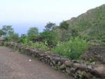 DSCN1935