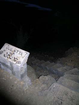DSCN1946