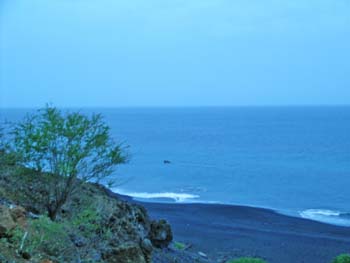 DSCN1948